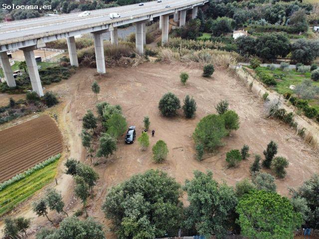 ? SE ALQUILA TERRENO AGRÍCOLA