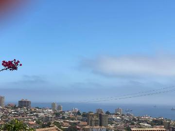 Se arrienda casa en viña del mar alto