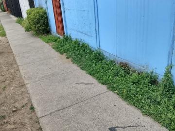 se arrienda casita interior con entrada y patio independiente en La Florida