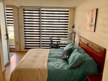 se arrienda departamento amoblado 1 dormitorio Concepcion