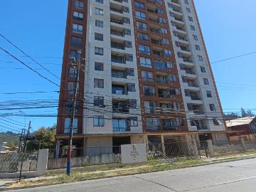 SE ARRIENDA DEPARTAMENTO EN SECTOR COLLAO 2D 2B 1E