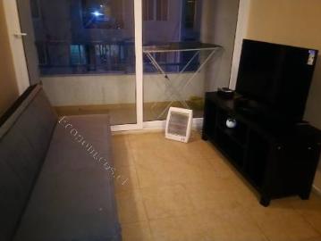 SE ARRIENDA DPTO AMOBLADO ALEJANDRINA II, $430.000