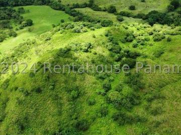 se finca de nueve hectárea en Santiago # 25 1754 JMS