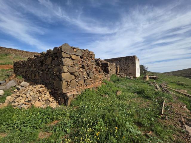 Se ofrece esta auténtica finca rústica en venta, situada en. 350m² Antigua