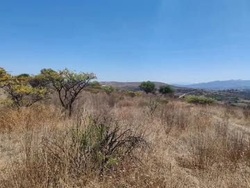 ?SE PONEN A LA VENTA 6 TERRENOS EN LA ALDEA?