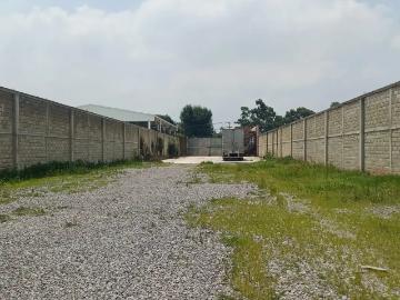 SE RENTA TERRENO 5000M2