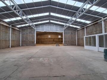 SE RENTA BODEGA COMERCIAL INDUSTRIAL POR AVE. MTY, COL. ENRIQUE C?RDENAS, TAMPICO. INFO 8333435499