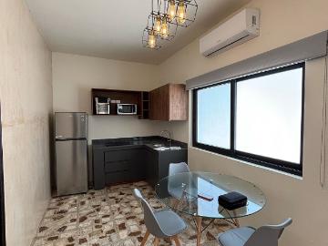 SE RENTAN DEPARTAMENTOS NUEVOS EN COL. CENTRO