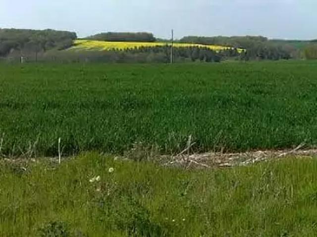 Semur en Auxois 21140 Programme neuf terrain neuf à vendre