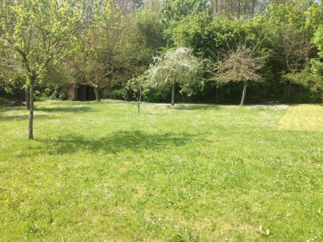 Semblançay Vente Terrain 37