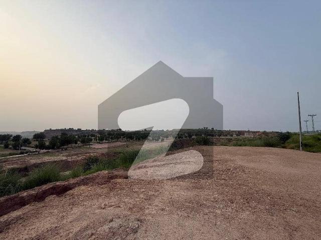 Semi Develop Plot And Is Now Going To Be DHA Phase 3