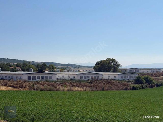 SEMİH'TEN KARAAMCADA 4013 M2 FIRSAT ARAZİ !