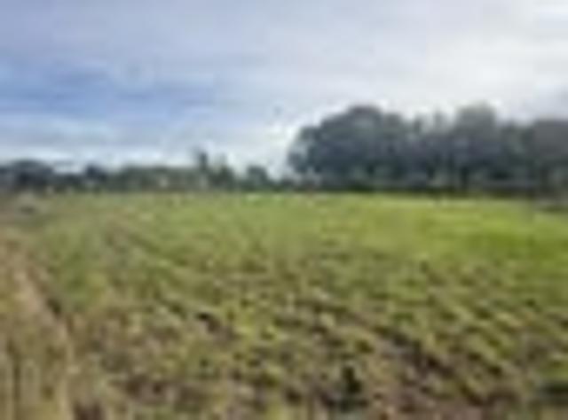Semi Rural sections, Bainfield Road Invercargill