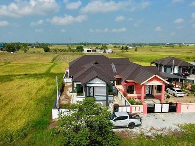 SemiD Comel View Sawah Padi