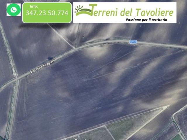 seminativo Agro di Torremaggiore – Localit Ligatti