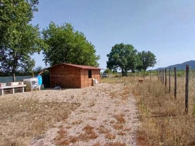 Seminativo in vendita a Castiglione della Pescaia