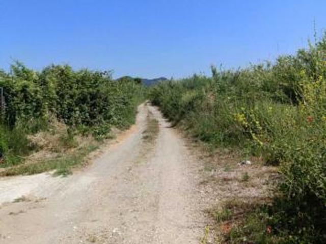 Seminativo in vendita a Cerveteri