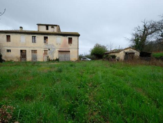 Seminativo in vendita a Cupramontana