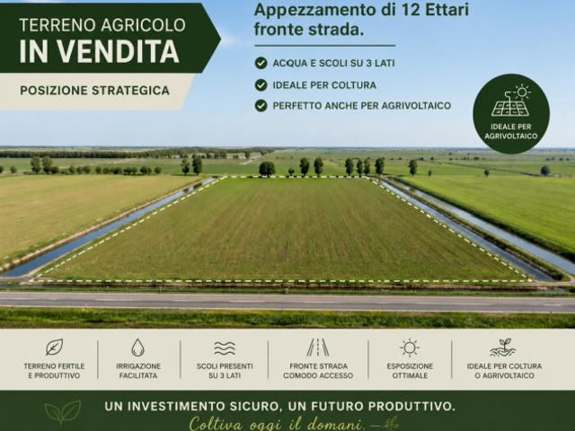 Seminativo in vendita a Giacciano con Baruchella