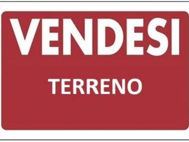 Seminativo in vendita a Massa