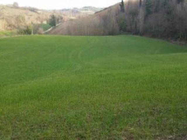Seminativo in vendita a Mondavio
