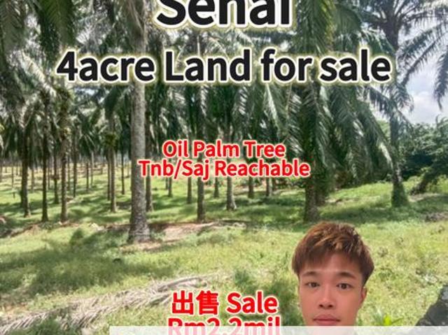 Senai