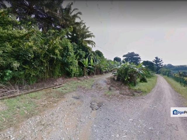 Senai 21 Acres Zoning Industrial Land for SALE