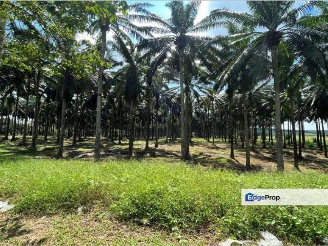 Senai Zoning Industrial Land