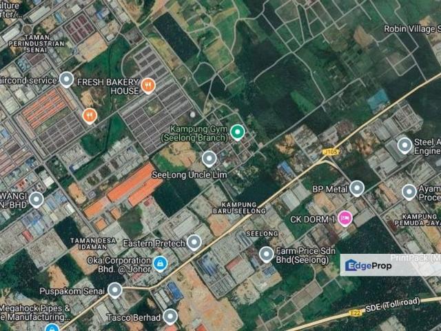 Senai Industrial Park