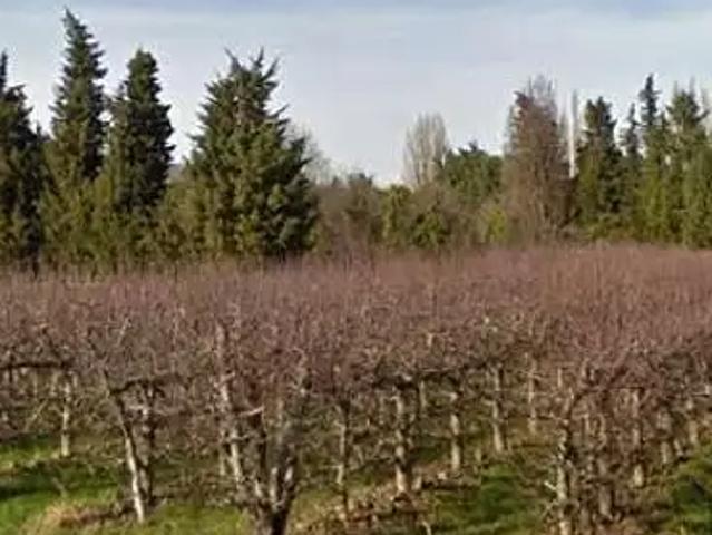 Sénas 13560 Programme neuf terrain neuf à vendre