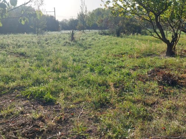 Sénas Vente Terrain 13