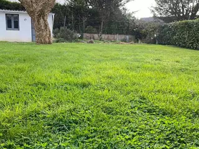 Séné 56860 Achat / Vente terrain