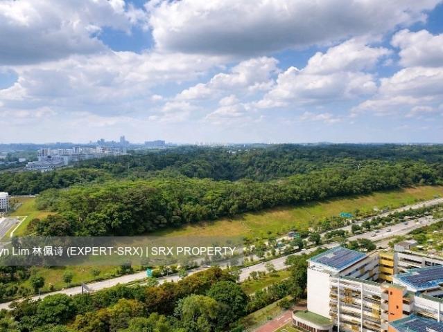 Senja Parc View Bukit Panjang, HDB 4 Rooms