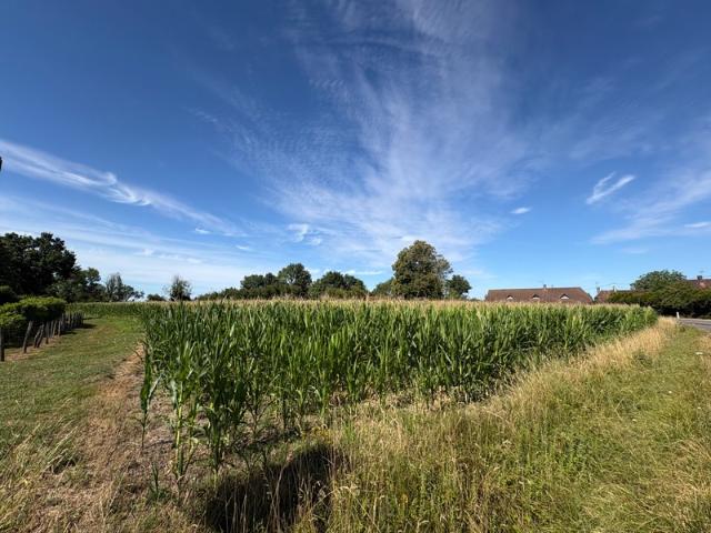Sens sur Seille Vente Terrain 71