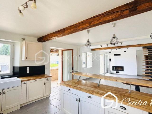 Plessis Saint Jean Vente Maison 89