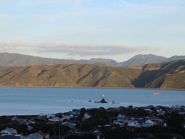 seatoun, 1 bedroom