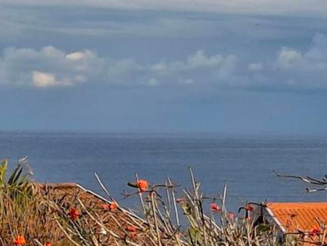 seaview apartment