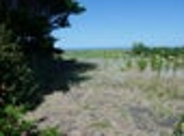 Seaview Section