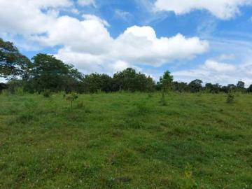 Sea Confiable Vende Finca en Cerro Cama