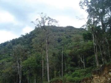 SEA CONFIABLE VENDE TERRENO EN CHIRIQUI