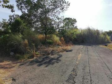 SEA CONFIABLE VENDE TERRENO EN LA CHORRERA