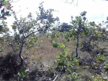 Sea Confiable vende terreno en La Mesa de San Martín de Pacora