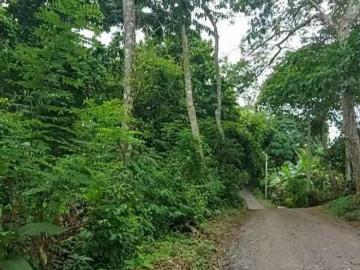 Sea Confiable Vende 15 Hectáreas + 4,159.37 mts Arraijan Centro