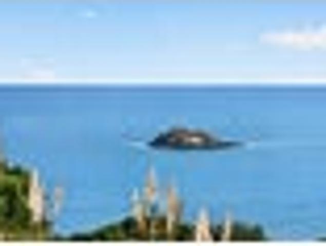 Sea sational section