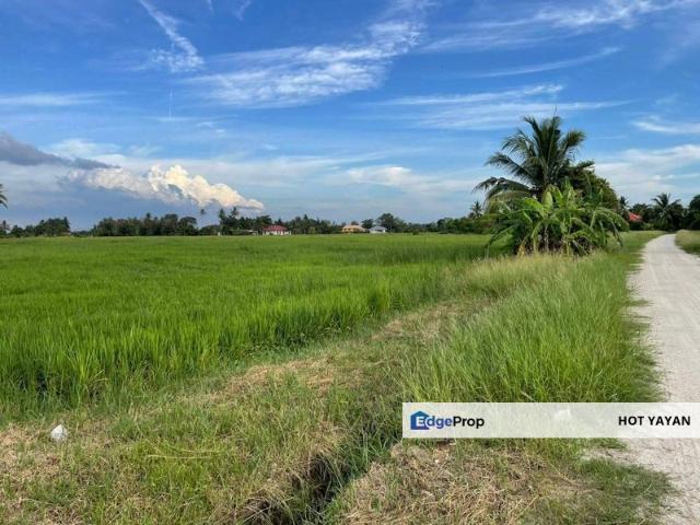 Seberang Perai Utama