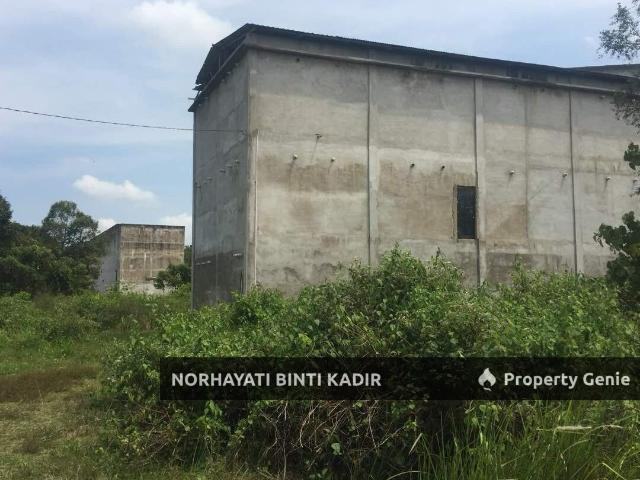 SEBIDANG TANAH KELUASAN 1 EKAR BESERTA SARANG BURUNG WALIT DI KG DURIAN SEBATANG MUKIM LANGGAR PEKAN PAHANG