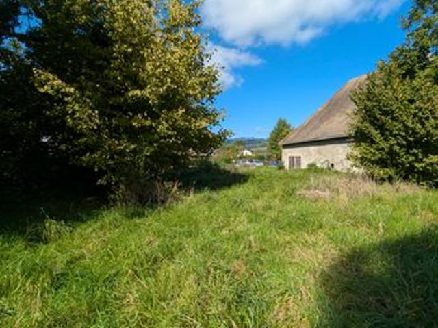 Secteur Pringy / Allonzier la Caille – Maison avec jardin