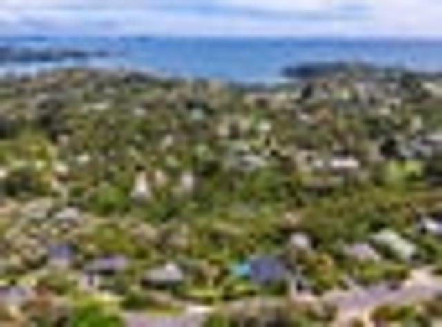 Section Exudes Essence of Waiheke's Natural Charm