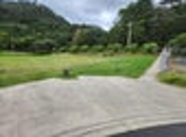 Section for sale Pauanui