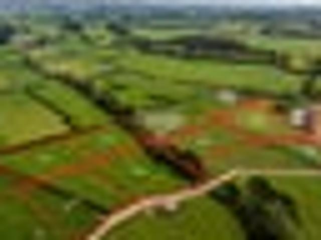 SECTIONS FOR SALE TITLES NOW ISSUED